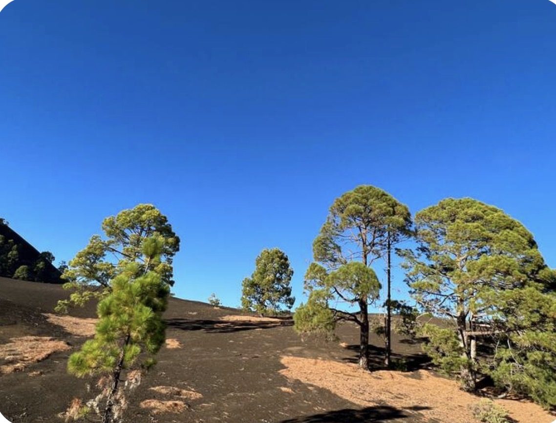 Teide & Natur
